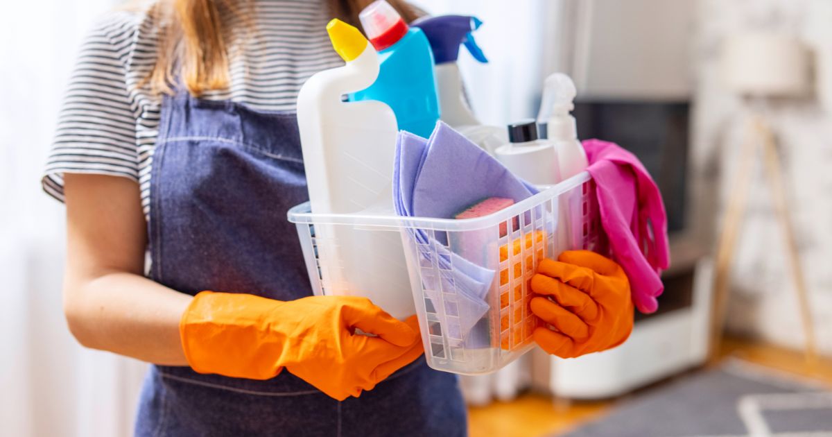 Lady with spring cleaning equipment