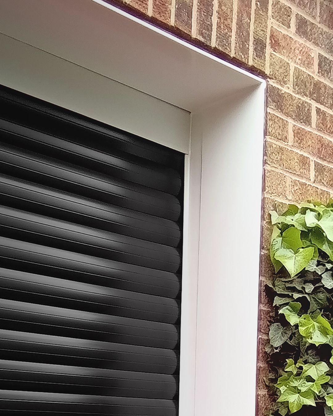 Close up of Garolla door showing white trim around the garage door.