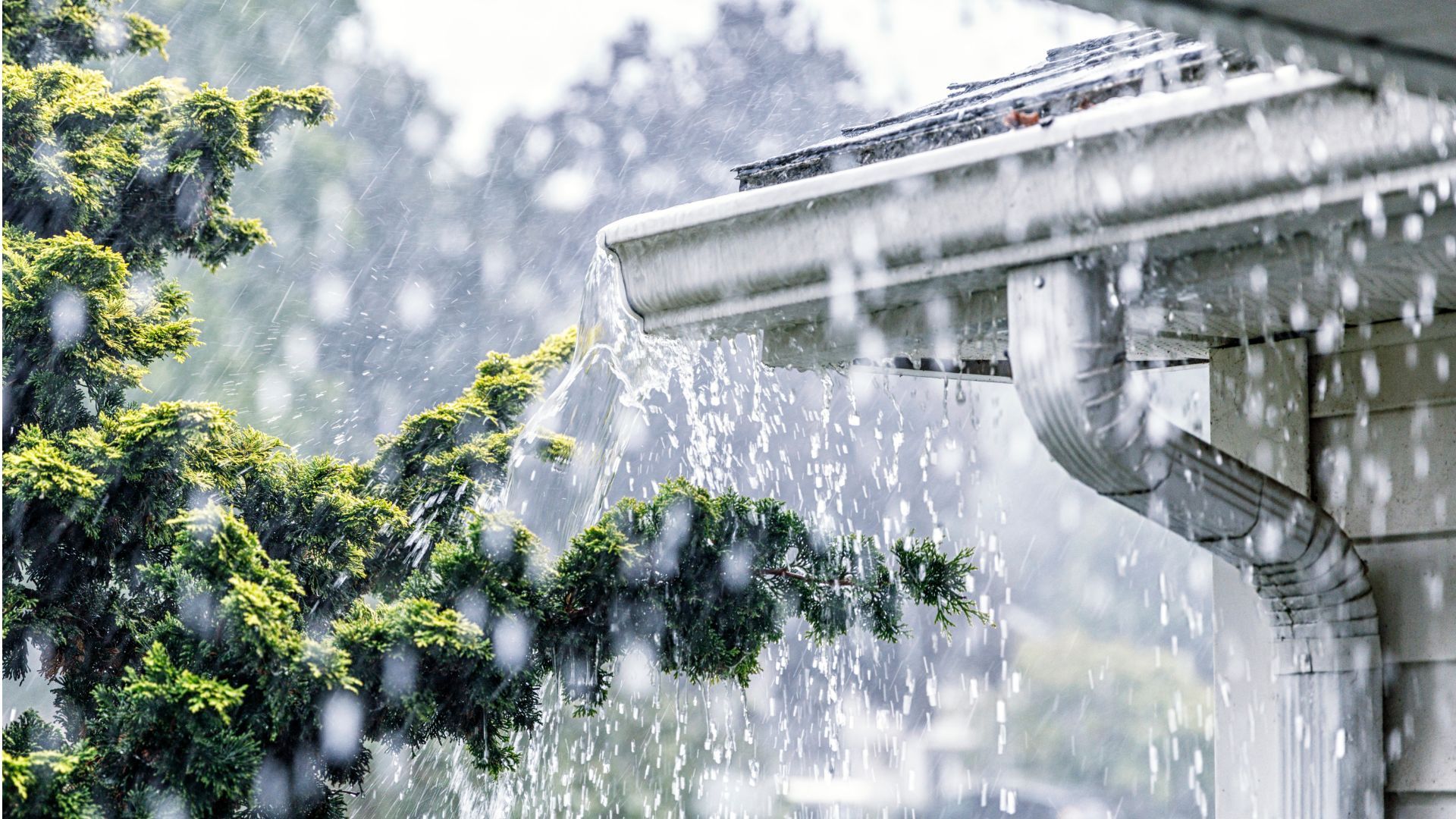 Stormy weather with house guttering